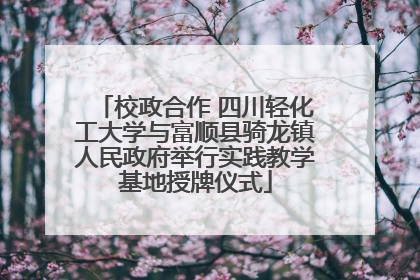 校政合作 四川轻化工大学与富顺县骑龙镇人民政府举行实践教学基地授牌仪式