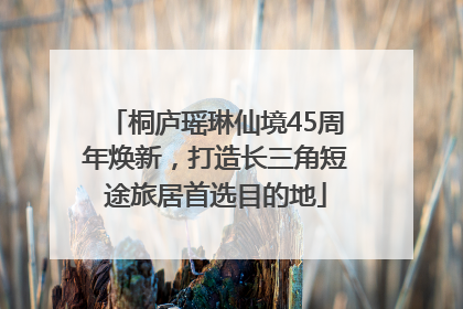 桐庐瑶琳仙境45周年焕新，打造长三角短途旅居首选目的地