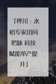 桦川：水稻专家田间把脉 科技赋能单产提升