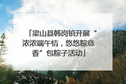 梁山县韩岗镇开展“浓浓端午情，悠悠粽意香”包粽子活动