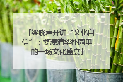 梁晓声开讲“文化自信”：婺源清华朴园里的一场文化盛宴