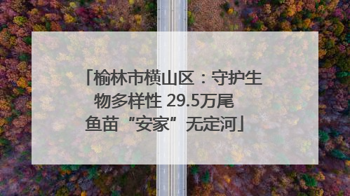 榆林市横山区：守护生物多样性 29.5万尾鱼苗“安家”无定河