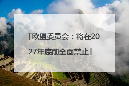 欧盟委员会：将在2027年底前全面禁止