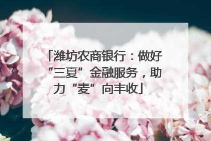 潍坊农商银行：做好“三夏”金融服务，助力“麦”向丰收
