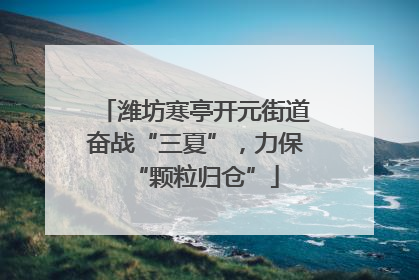 潍坊寒亭开元街道奋战“三夏”，力保“颗粒归仓”
