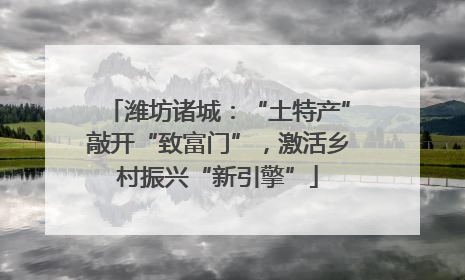 潍坊诸城：“土特产”敲开“致富门”，激活乡村振兴“新引擎”