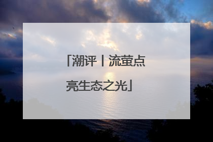 潮评丨流萤点亮生态之光