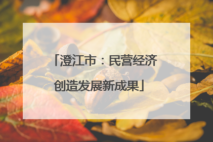 澄江市：民营经济创造发展新成果