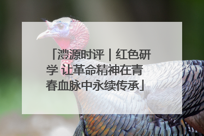 澧源时评｜红色研学 让革命精神在青春血脉中永续传承