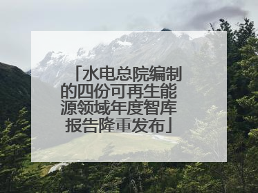 水电总院编制的四份可再生能源领域年度智库报告隆重发布