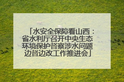 水安全保障看山西：省水利厅召开中央生态环境保护督察涉水问题边督边改工作推进会