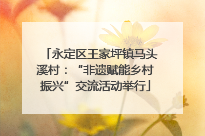 永定区王家坪镇马头溪村：“非遗赋能乡村振兴”交流活动举行