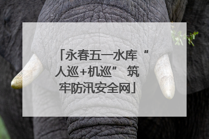 永春五一水库“人巡+机巡” 筑牢防汛安全网