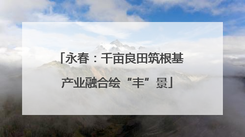 永春：千亩良田筑根基 产业融合绘“丰”景