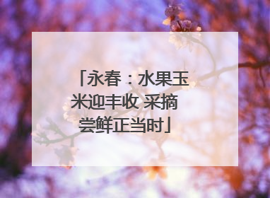 永春：水果玉米迎丰收 采摘尝鲜正当时