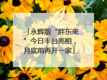 永辉版“胖东来”今日丰台亮相，月底前再开一家