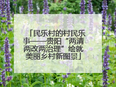 民乐村的村民乐事——贵阳“两清两改两治理”绘就美丽乡村新图景