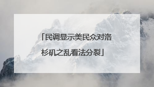 民调显示美民众对洛杉矶之乱看法分裂