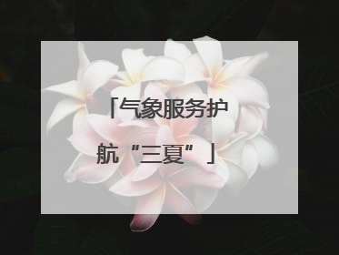 气象服务护航“三夏”