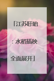江苏盱眙：水稻插秧全面展开