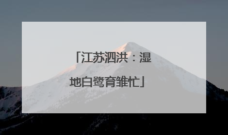 江苏泗洪：湿地白鹭育雏忙