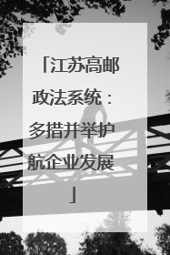 江苏高邮政法系统：多措并举护航企业发展