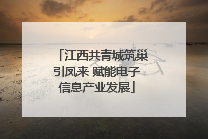 江西共青城筑巢引凤来 赋能电子信息产业发展