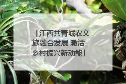 江西共青城农文旅融合发展 激活乡村振兴新动能