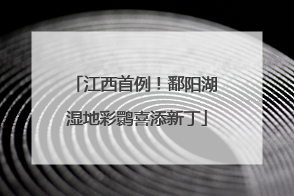 江西首例！鄱阳湖湿地彩鹮喜添新丁