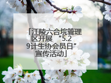 江陵六合垸管理区开展 “5.29计生协会员日”宣传活动