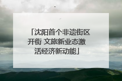 沈阳首个非遗街区开街 文旅新业态激活经济新动能