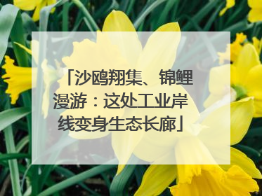 沙鸥翔集、锦鲤漫游：这处工业岸线变身生态长廊
