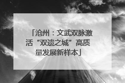 沧州：文武双脉激活“双遗之城”高质量发展新样本