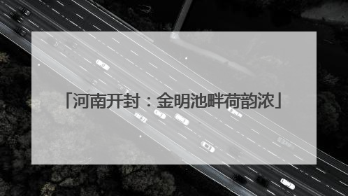 河南开封：金明池畔荷韵浓