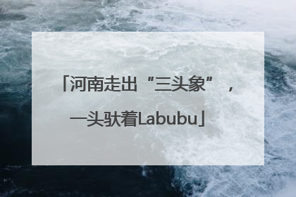 河南走出“三头象”，一头驮着Labubu