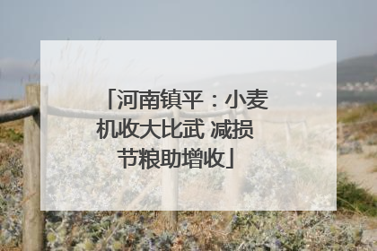 河南镇平：小麦机收大比武 减损节粮助增收