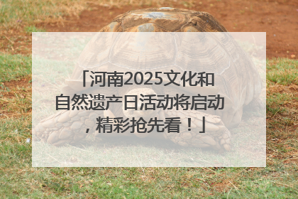 河南2025文化和自然遗产日活动将启动，精彩抢先看！
