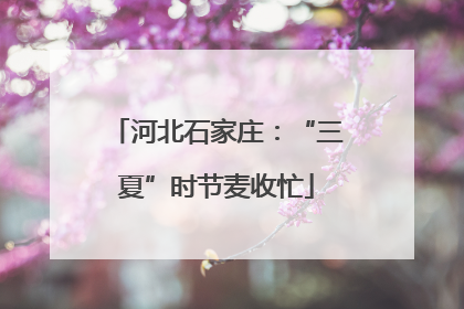 河北石家庄：“三夏”时节麦收忙