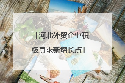河北外贸企业积极寻求新增长点
