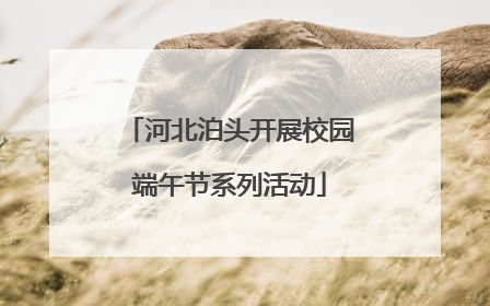 河北泊头开展校园端午节系列活动