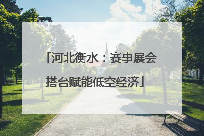 河北衡水：赛事展会搭台赋能低空经济