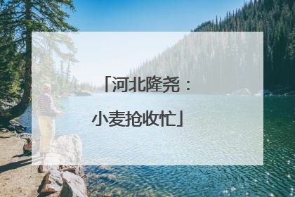河北隆尧：小麦抢收忙