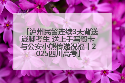 泸州民警连续3天背送崴脚考生 送上手写贺卡与公安小熊传递祝福丨2025四川高考