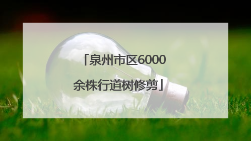 泉州市区6000余株行道树修剪