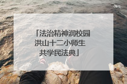 法治精神润校园 洪山十二小师生共学民法典
