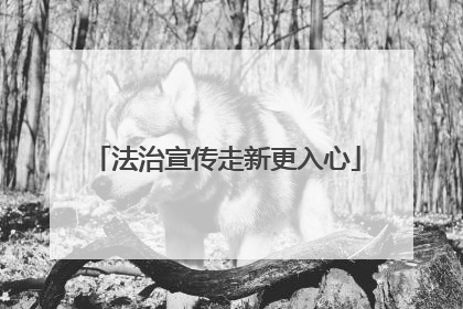 法治宣传走新更入心
