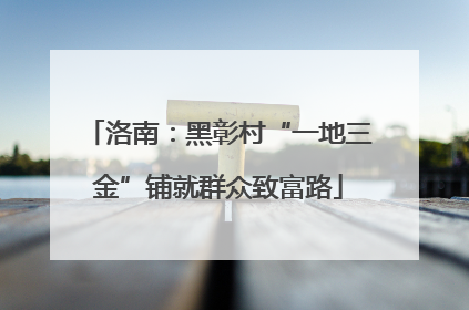 洛南：黑彰村“一地三金”铺就群众致富路