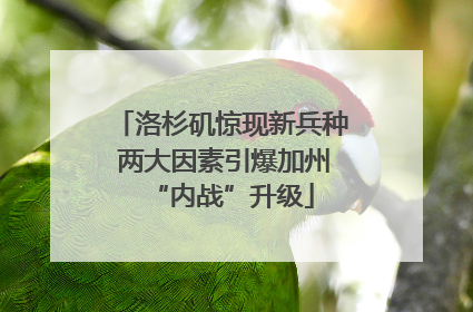 洛杉矶惊现新兵种 两大因素引爆加州“内战”升级