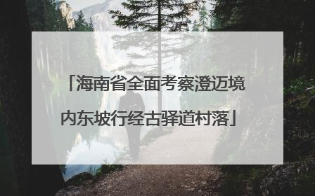 海南省全面考察澄迈境内东坡行经古驿道村落