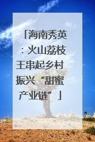 海南秀英：火山荔枝王串起乡村振兴“甜蜜产业链”